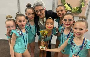 Compétition Régionale IDF - Ensembles : National 7/9 ans, National 10/11 ans, Fédéral A, Régional